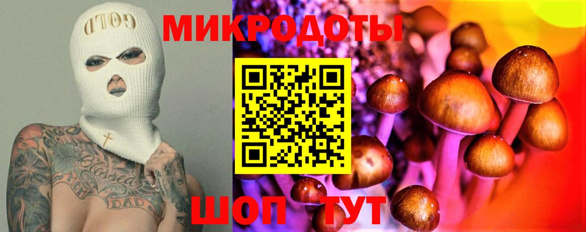 Галлюциногенные грибы Psilocybe  Вход с VPN  Каменск-Шахтинский 